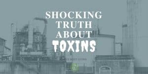 Shocking Truth About Toxins - Whole Body Living and Tara's Keto Kitchen