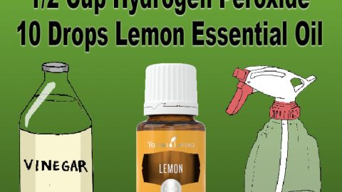 DIY Tile Cleaner recipe for pinterest how to clean grout with vinegar