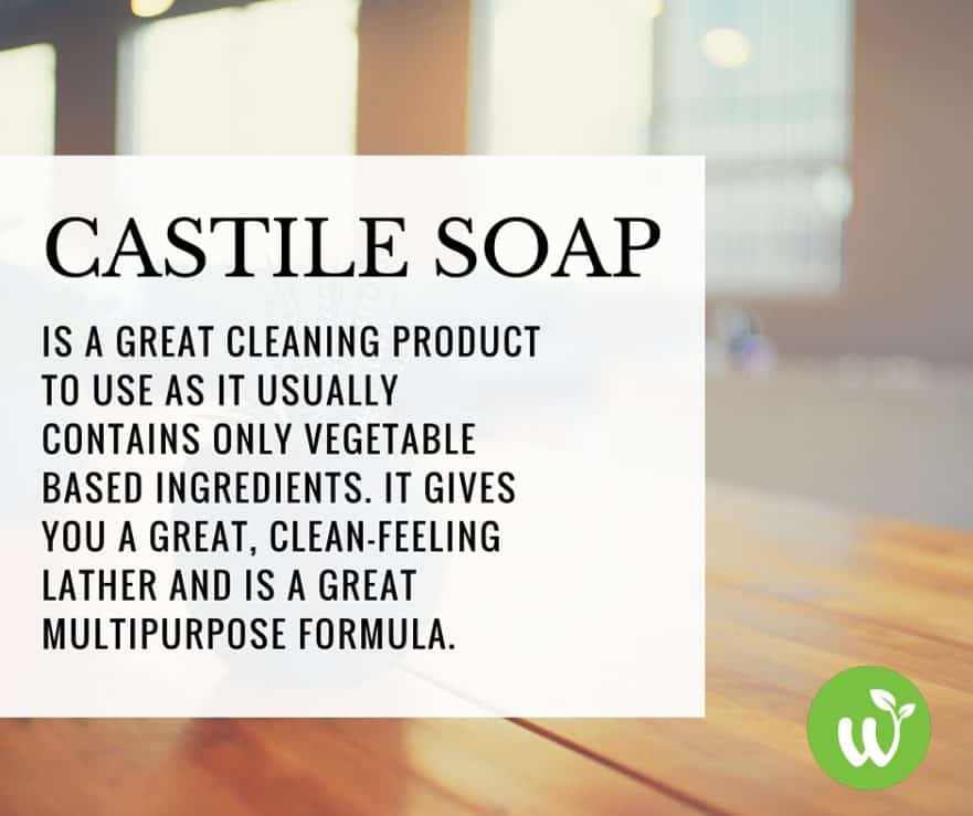 Castile Soap A Safe, Affordable Solution for a Toxin Free Home Whole Body Living and Tara's